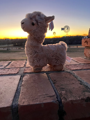 AWM Llama Plush