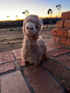 AWM Llama Plush