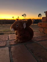 AWM Squirrel Plush