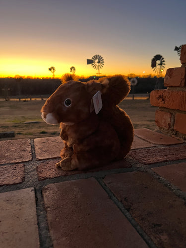 AWM Squirrel Plush