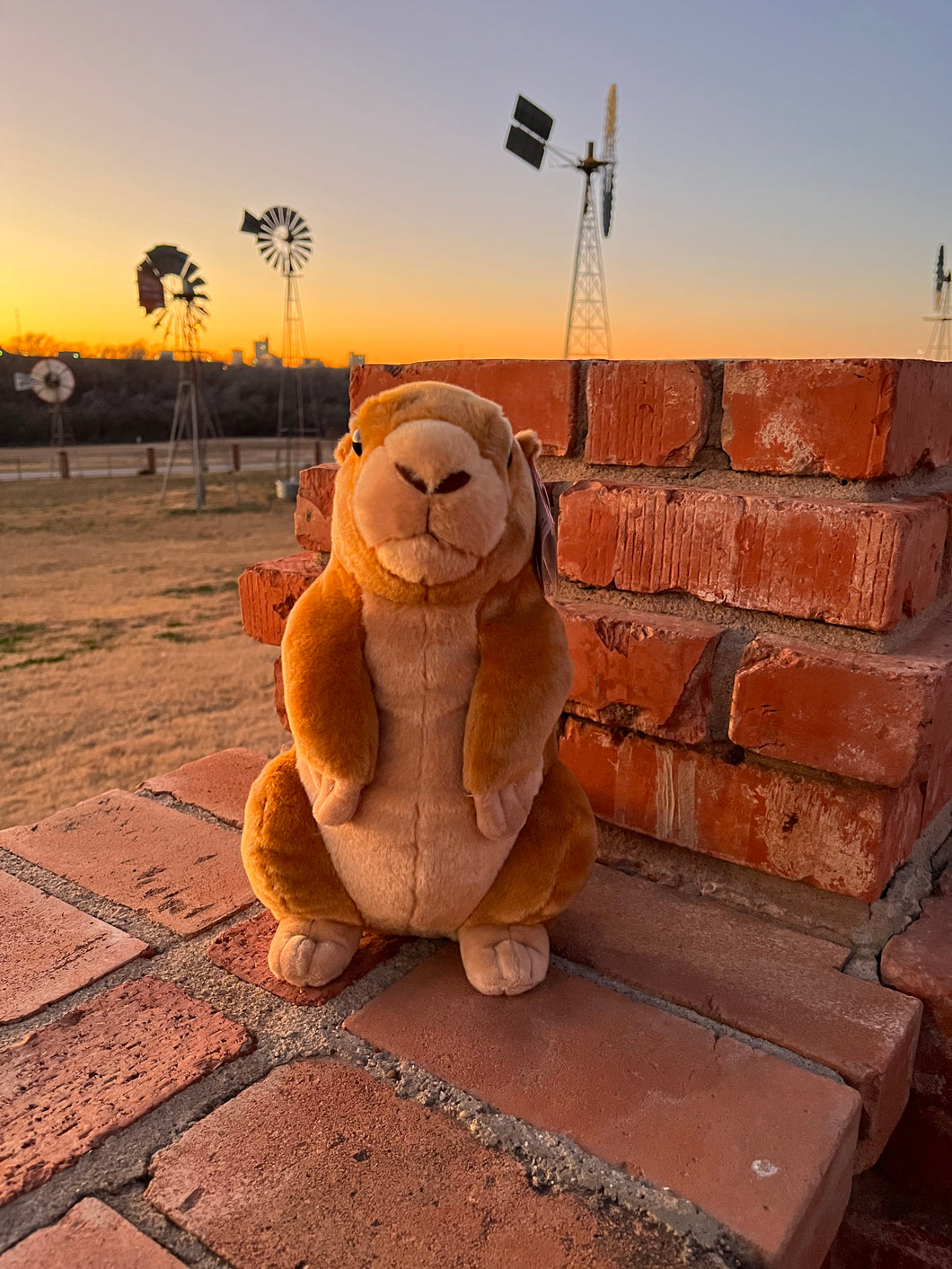 Prairie Dog Large Plush Toy