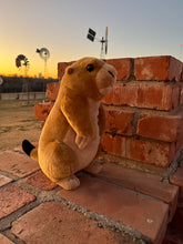 Prairie Dog Large Plush Toy
