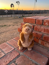 Prairie Dog Large Plush Toy
