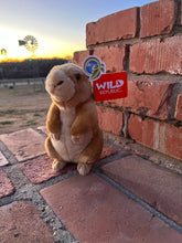 Prairie Dog Small Plush Toy