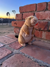 Prairie Dog Small Plush Toy